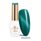 Molly Nails – Cat Eye Seduction 242 Allure Green 8g